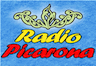 Radio Picarona de Panguipulli